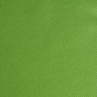 Men's Campfire Fleece Alpine Green